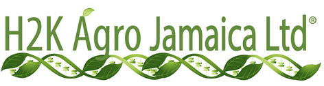 H2K Agro Jamaica Ltd